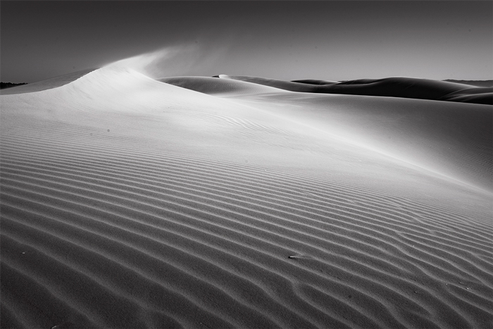 Oceano Dunes #120, CA, 2019.