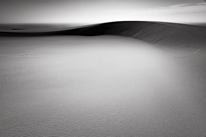 Oceano Dunes #142, CA, 2019.