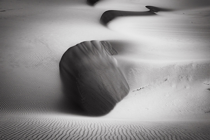 Oceano Dunes #107, CA, 2019.