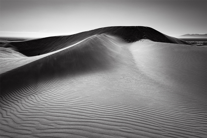 Oceano Dunes #145, CA, 2019.