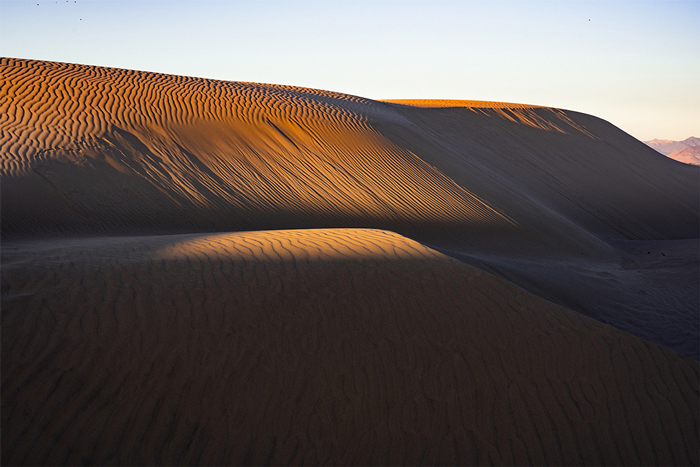 Oceano Dunes #149, CA, 2019.