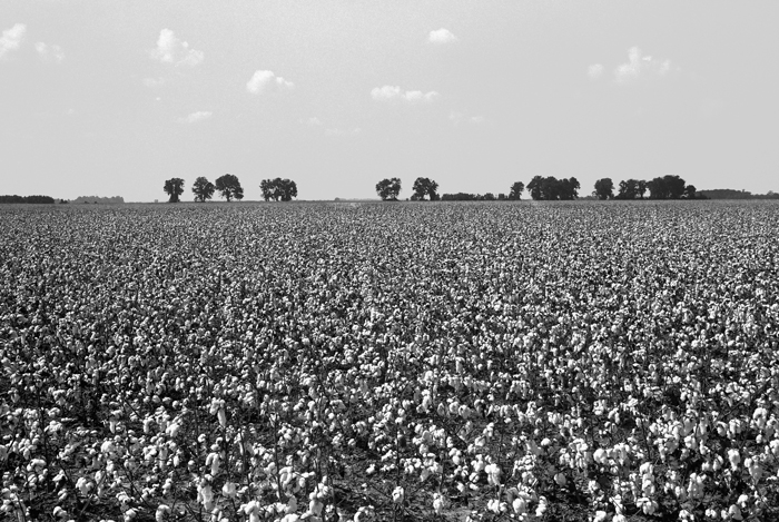 Tensas Parish, Louisiana (2003).