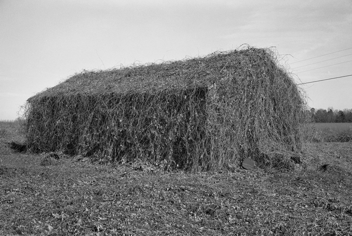 Lafayette County, Mississippi (2002).