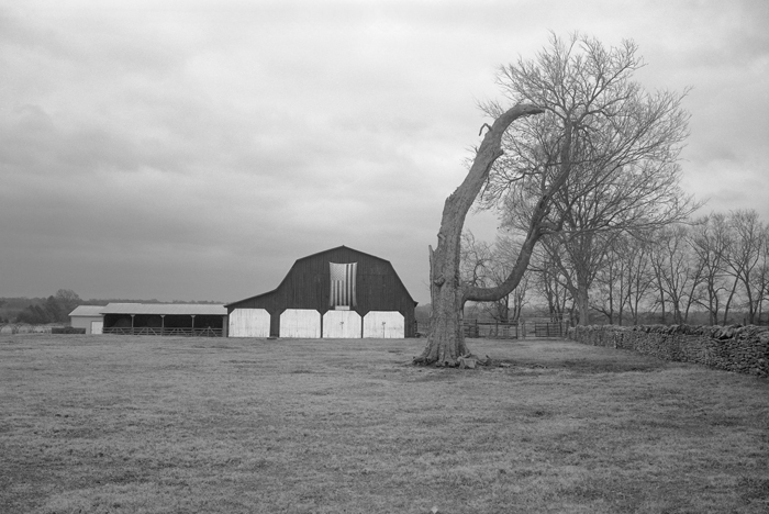 Rutherford County, Tennessee (2017).