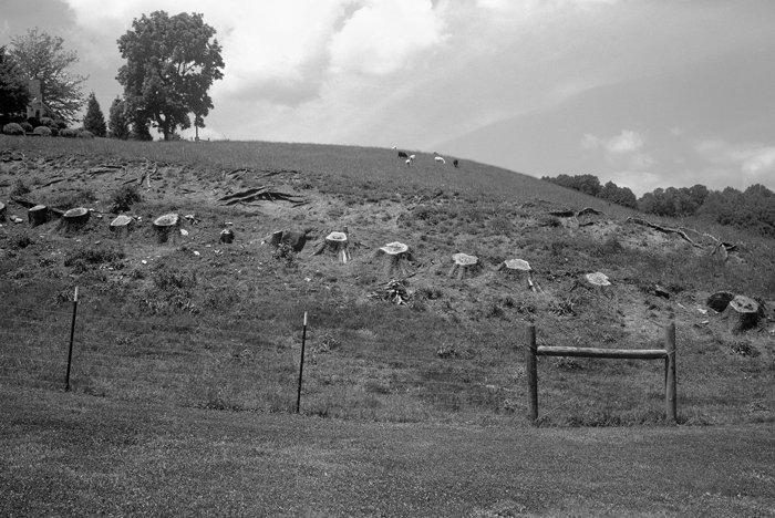 Ashe County, North Carolina (2018).