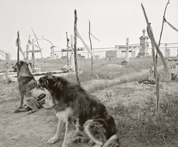 The mass gravesite at Wounded Knee from the massacre of 1890.