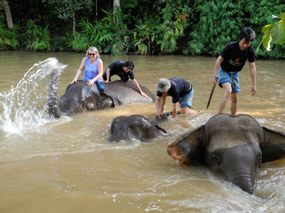 Billups-ElephantBath