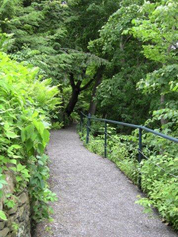 River Walk Upstream