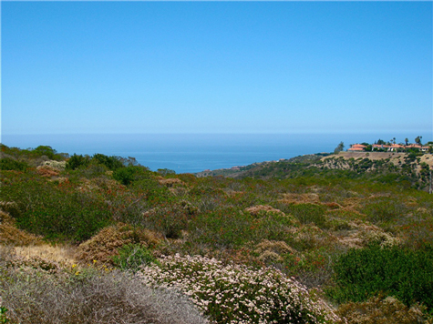 Looking at land, sea and sky