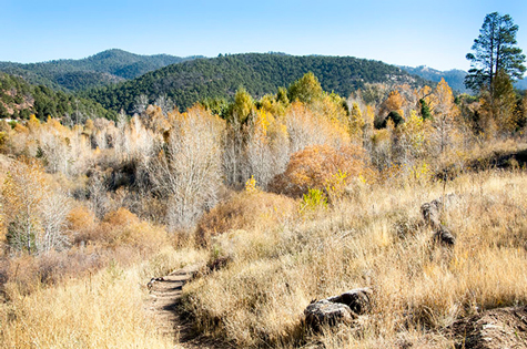 Nearby Hike