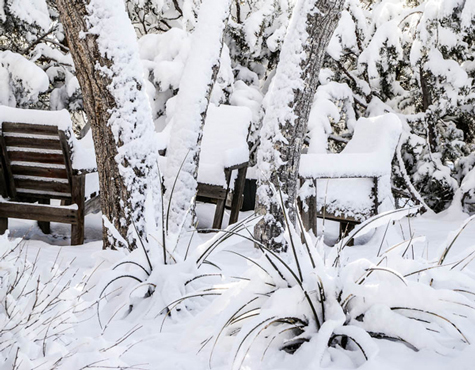 Winter Chairs