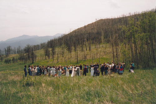 Wedding in the meadow, 1993